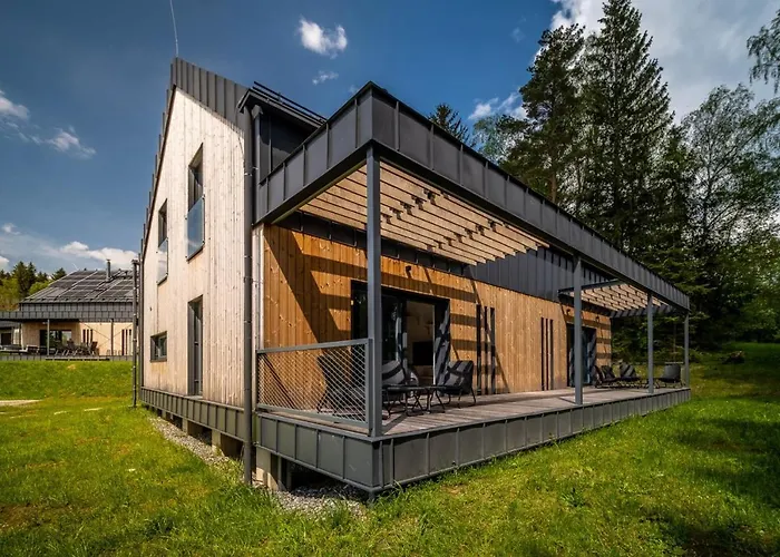 Holiday House U Hajenky 12L Lipno Home