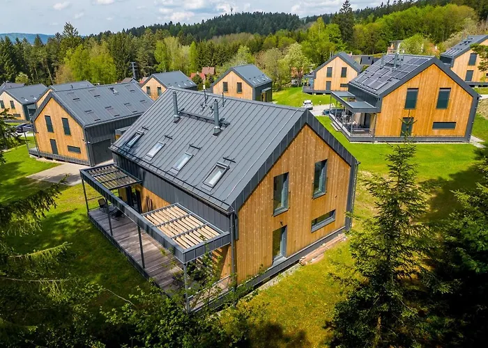 Holiday House U Hajenky 12L Lipno Home